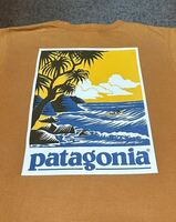 【patagonia】アウトドア サーフ系Tシャツ　希少カラー オレンジ 90年代 ビンテージ　S（M相当） 