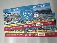 大阪　舞洲ネモフィラ祭り無料招待券2枚