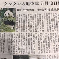 パンダのタンタンお別れ会　追悼式　5月10日　王子動物園発表