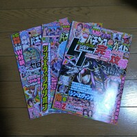 パチンコ必勝ガイドMAX DVD無し2024年1月&2月&3月号 3冊セット ガイドワークス