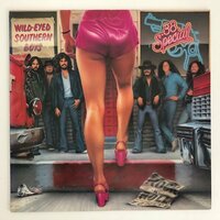LP/ 38 SPECIAL / WILD-EYED SOUTHERN BOYS / 38スペシャル / 国内盤 ライナー A&M AMP-28030 40416