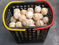 野球硬式ボール　練習用　85球 硬球 硬式球