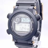 CASIO カシオ 1996 HIBT FISHERMAN DW-8600 38th フィッシャーマン 腕時計 ウォッチ クォーツ quartz 黒 ブラック P274