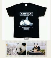 『 ごろりん 』王子動物園　タンタン オリジナルTシャツ Lサイズ ＋ ポストカード2枚 