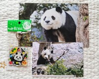  2019.1.4.9 タンタンポストカード Xmasアクリルキーホルダー 王子動物園　