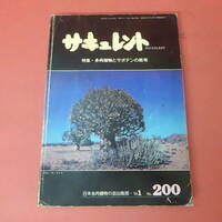 YN5-240426☆サキュレント　200号　　日本多肉植物の会出版部