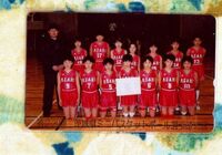 (Y54-2) 第23回 茨城県ミニバスケットボール選手権大会 テレカ