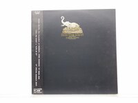 成田勝「Into The Night」LP（12インチ）/RCA Records(RHL-1003)/クラブ・ダンス