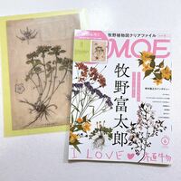 MOE (モエ) 2023年6月号 (牧野富太郎 I LOVE 植物｜特別ふろく 牧野富太郎の植物図クリアファイル)