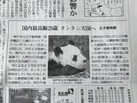 ■ありがとうタンタン■タンタン天国へ■神戸市立王子動物園■ジャイアントパンダ■新聞記事■