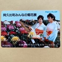【未使用】花テレカ 50度 阿久比町みんなの菊花展 全国市町村なんでも日本一 菊花展 着物