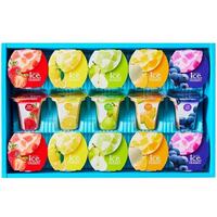 【ギフト包装可】凍らせて食べるアイスデザート 9号 洋菓子 セット アイスクリーム IDE-30 中島大祥堂 