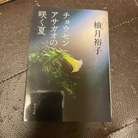 チョウセンアサガオの咲く夏　（角川文庫） 柚月裕子