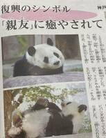 タンタン　毎日小学生新聞 2020年7月16日　20年間ありがとう　神戸市立王子動物園　ジャイアントパンダ