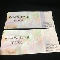 花とみどりのギフト券2枚　 フラワー券　2000円分 