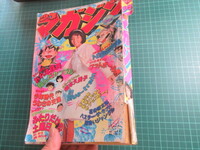 週刊少年マガジン、昭和53年12月10日、相本久美子、翔んだカップル、花の咲太郎、おれは鉄兵、1、2の三四郎、