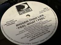 12”★Bigger Than Life / Feel What I Feel / High And Mighty / シカゴ・ディープ・ヴォーカル・ハウス・クラシック！