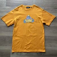 X-LARGE エクストララージ センター プリントロゴ ゴリラ 半袖 Tシャツ オレンジ Mサイズ 古着
