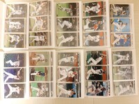 【2009プロ野球チップスカード】468枚 462種類コンプリート 内波紋パラレルサイン入り9枚　カードホルダー10冊