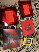 the GazettE CD NINTH 完全生産限定盤 2DVD付　　　ガゼット 愚鈍の桜 V系 ヴィジュアル系　
