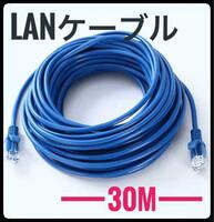 LANケーブル　30m　CAT5e 青　ブルー　事務所　テナント　自宅　オフィス　インターネット　接続　ランケーブル　ケーブル