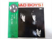 THE BAD BOYS バッドボーイズ LP　Meet The Bad Boys ミート・ザ・バッド・ボーイズ　廣田龍人・清水仁