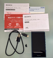 SONY ウォークマン Aシリーズ 32GB NW-A306(L)ブルー SONY 純正ソフトケース付